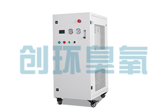 昭通石斑鱼养殖水质调控完整指南:臭氧发生器配置与操作步骤