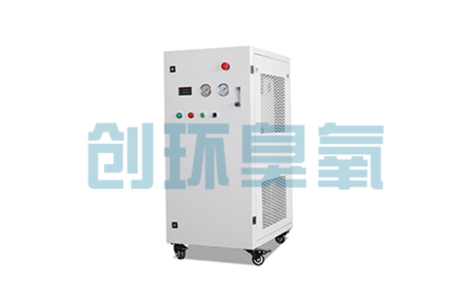 昭通比传统换水更高效?臭氧发生器在石斑鱼养殖中的水质净化原理解析
